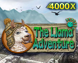 JDB Llama Adventure Bet