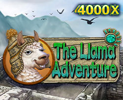 JDB Llama Adventure Bet JDB Llama Adventure Bet